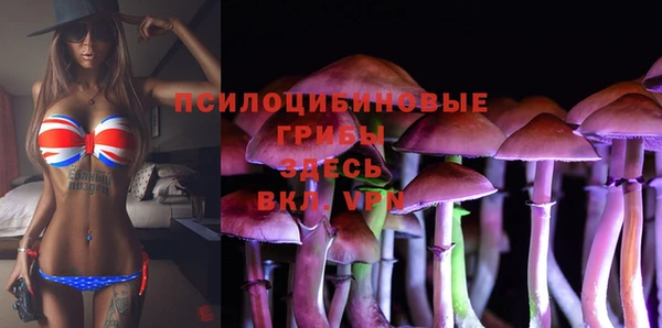 а пвп мука Алзамай